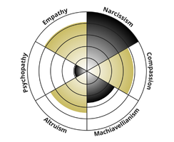 Light dark triad
