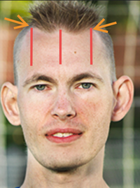 1778840477966.png