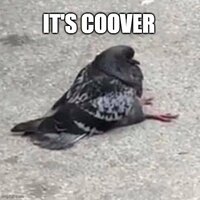 Its Coover.jpg