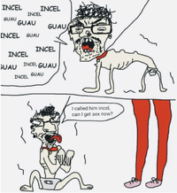 IMG_3845.png