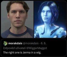 the-new-chud-cortana-with-extra-jawline-and-more-coverage-v0-zq09xbmzl46h1.png