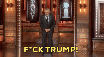 fk-trump-deniro.gif