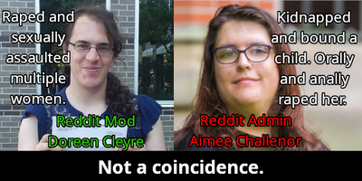 reddit mods are pedophiles.png