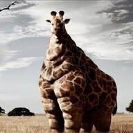 IMG_3451.jpeg