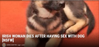 sexwithdog.png