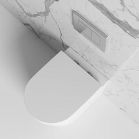 Senza back to wall rimless matte toilet soft close seat p1637 9993 zoom