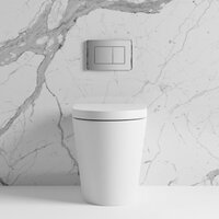 Senza back to wall rimless matte toilet soft close seat p1637 9996 medium