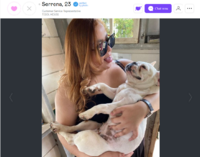 Dogs1 Dogs1