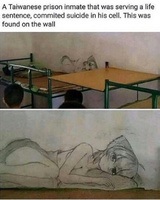 Anima 1