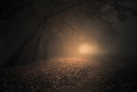 321685-nature-landscape-sunrise-trees-atmosphere-fall-leaves-morning-dark-sunlight-Slovakia.jpg