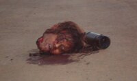 lovelydisgrace.com-homosexuals-murdered-and-beheaded-10-1024x605.jpg