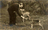 Adolf Hitler Feeding Baby Deer