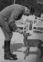 Adolf Hitler Feeding a Baby Deer