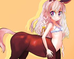 Horse Horse