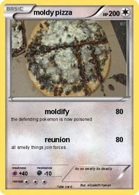 Mold Mold