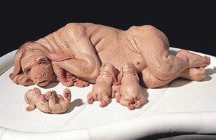 Hybrid Hybrid