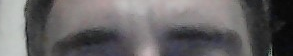eyebrows.png