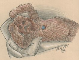 ChewbaccaTitanic ChewbaccaTitanic