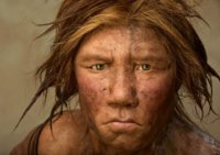 neanderthal-red-head.630x360.jpg