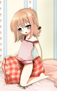 PlaidPillow