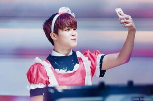 jimin3.jpg