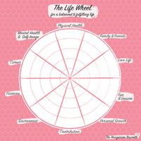 The-Hungarian-Brunette-The-life-wheel.png