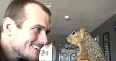 Man and Squirrel