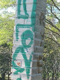 IMG_20220514_093116.jpg