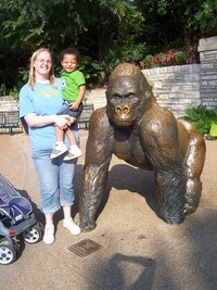 Harambe