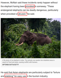 Elephant Elephant