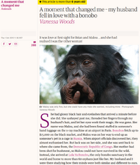 Bonobo