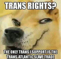 Slave