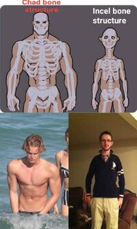 ZomboDroid 10082022124807.jpg