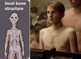 ZomboDroid 10082022124205.jpg