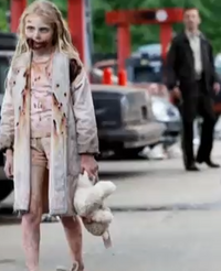 Teddy Teddy
