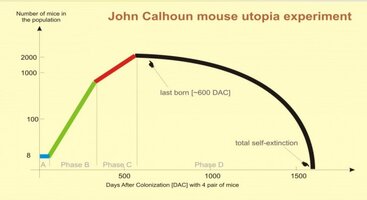 Calhoun experiment