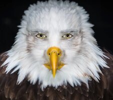 41CE4F6A-A5E3-40F0-8AE5-9C6C73A0FAFF.jpeg