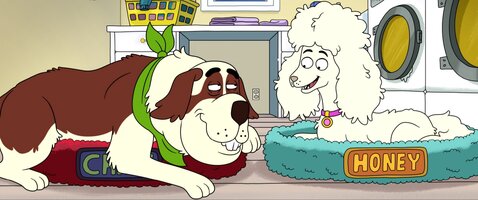 Chief and Honey Chief and Honey