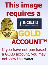 L.jpg