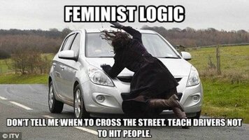 feministlogic2-3861040416.jpg