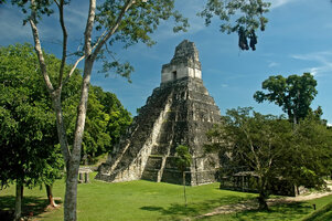 Tikal-Guatemala1-Temple-11-2659106102.jpg