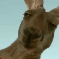 1699297029160.png