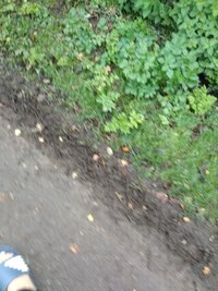 IMG_20231119_104758.jpg