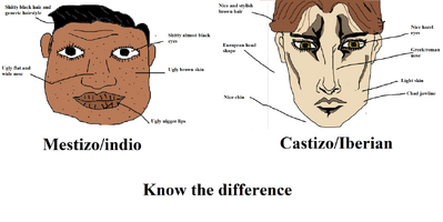 1565312438051-2.png