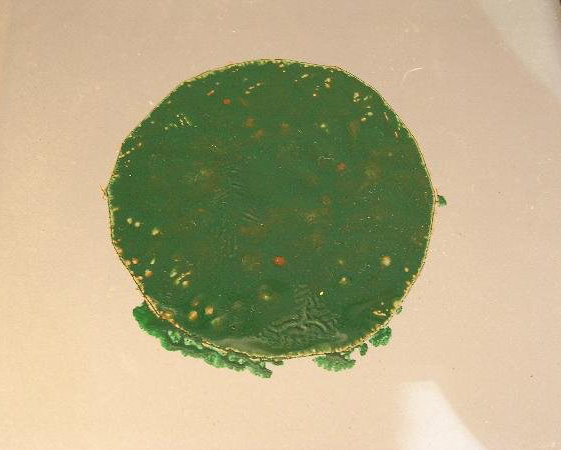 Green-circle-500.jpg