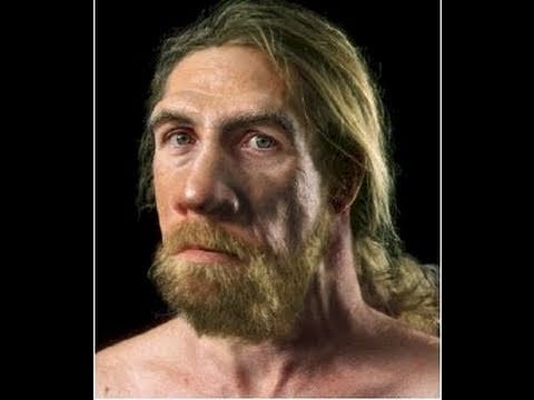 All NON-Africans are NOT out-of-africa (Cro Magnon is Not African) | Neanderthal, Human, History