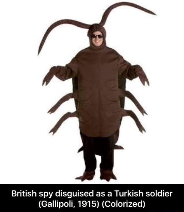 829.jpg