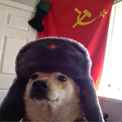 Stream Ruski Dog music | Listen to songs, albums, playlists for free on  SoundCloud