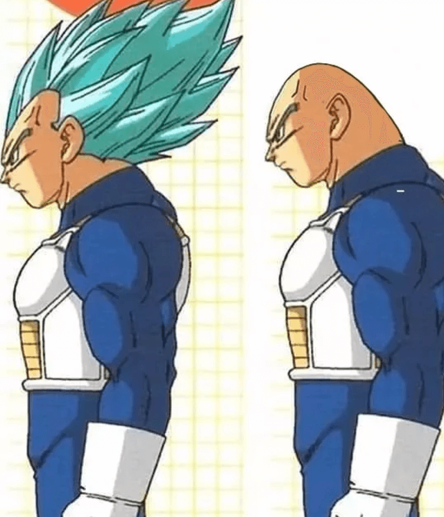 Vegeta-without-hair.png