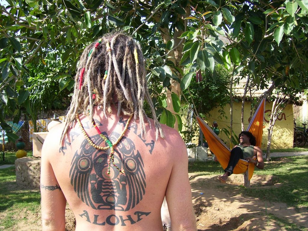 dreads-739076.JPG